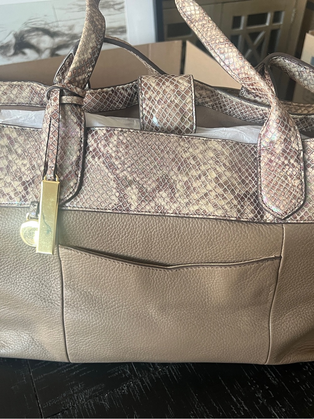 G.I.L.I. Taupe Tote with Faux Snake-Print Trim and Gold Hardware